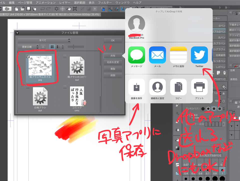 Wo Ist Jpg In Der Ipad Version Gespeichert Clip Studio Ask