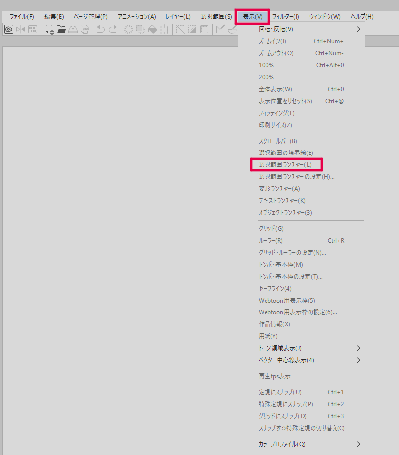 Lasso/Magic wand fill option missing - CLIP STUDIO ASK