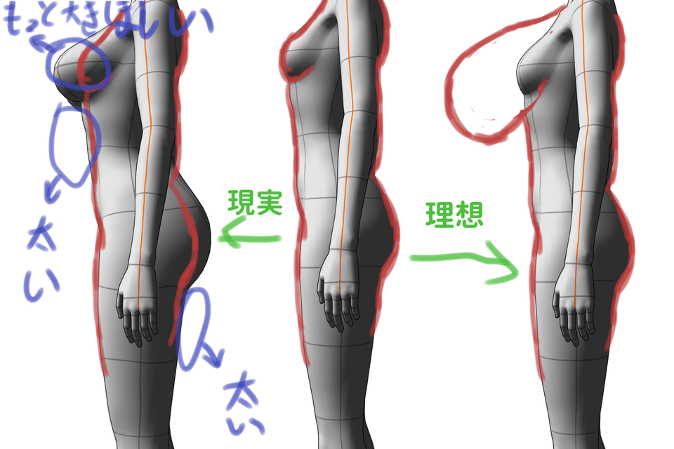 How to adjust the size of the chest with built-in 3D dolls? - CLIP STUDIO  ASK