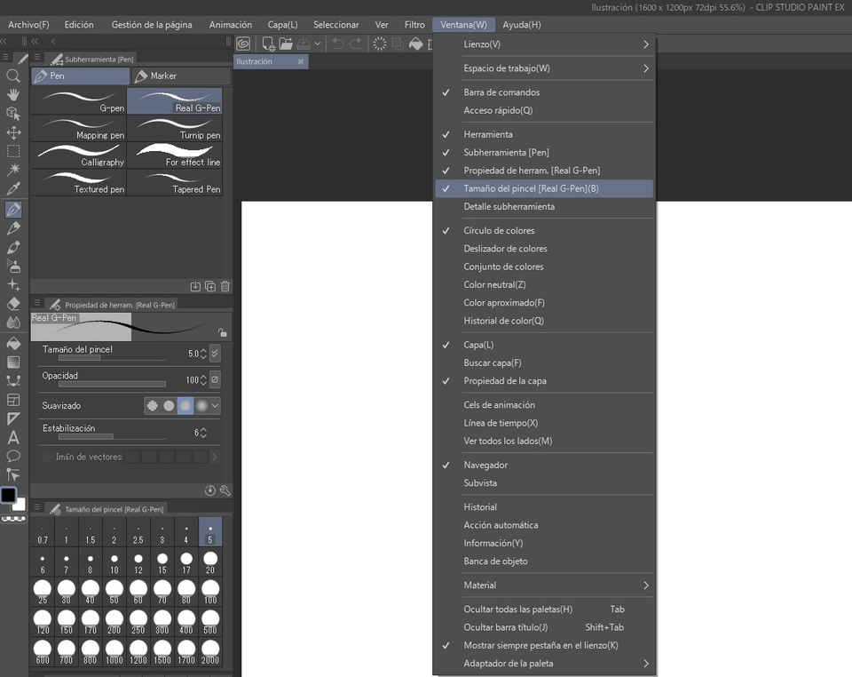Brush size command disappeared CLIP STUDIO ASK