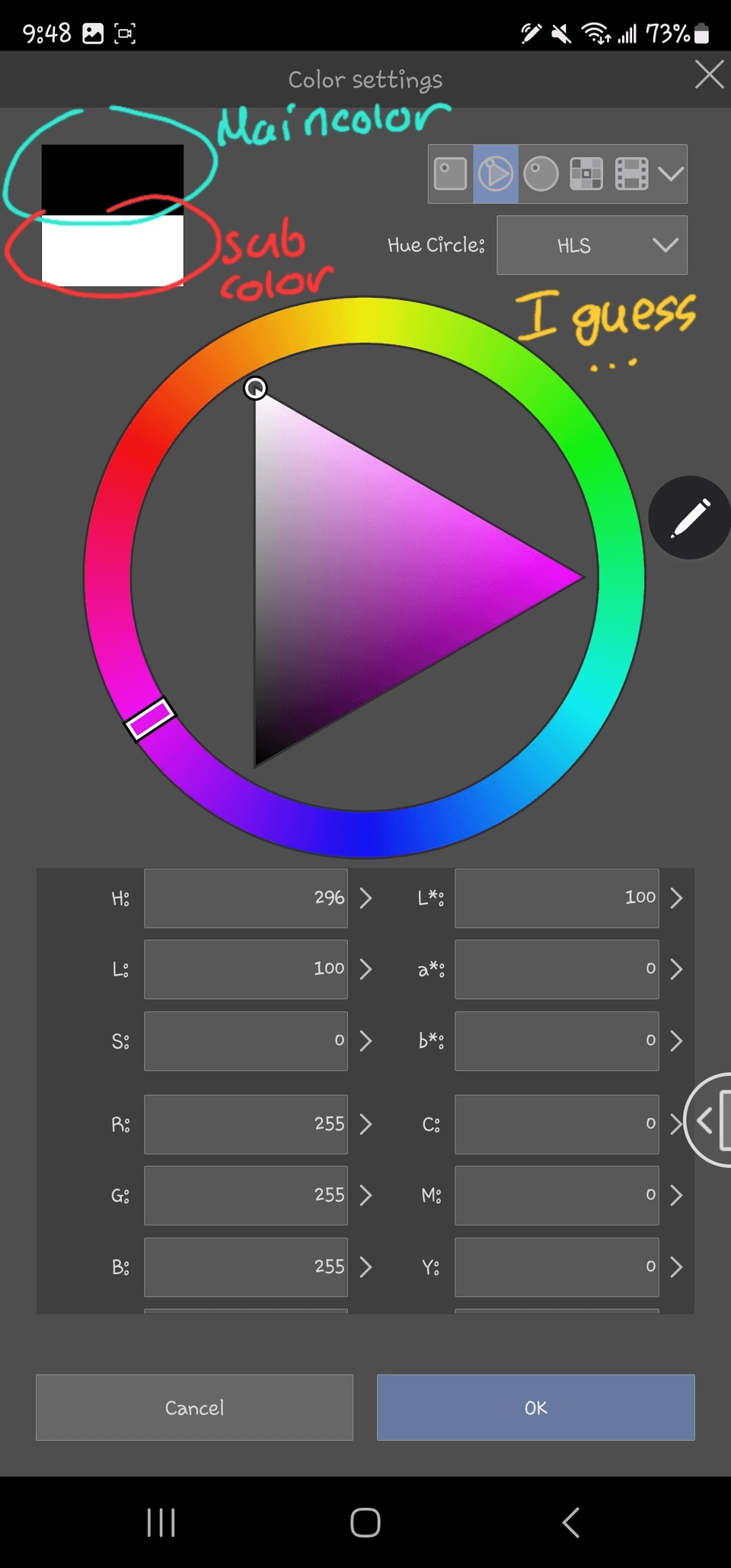 All my decoration brushes turned to black - CLIP STUDIO ASK