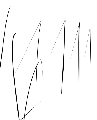 液タブのペンの挙動がおかしい Clip Studio Ask