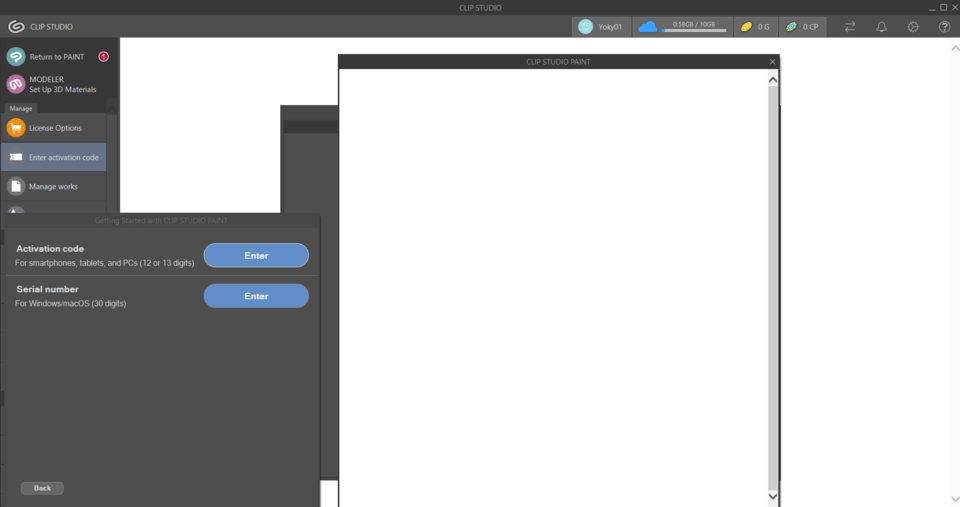 Blank Error I can't redeem my license, I can't even write the code