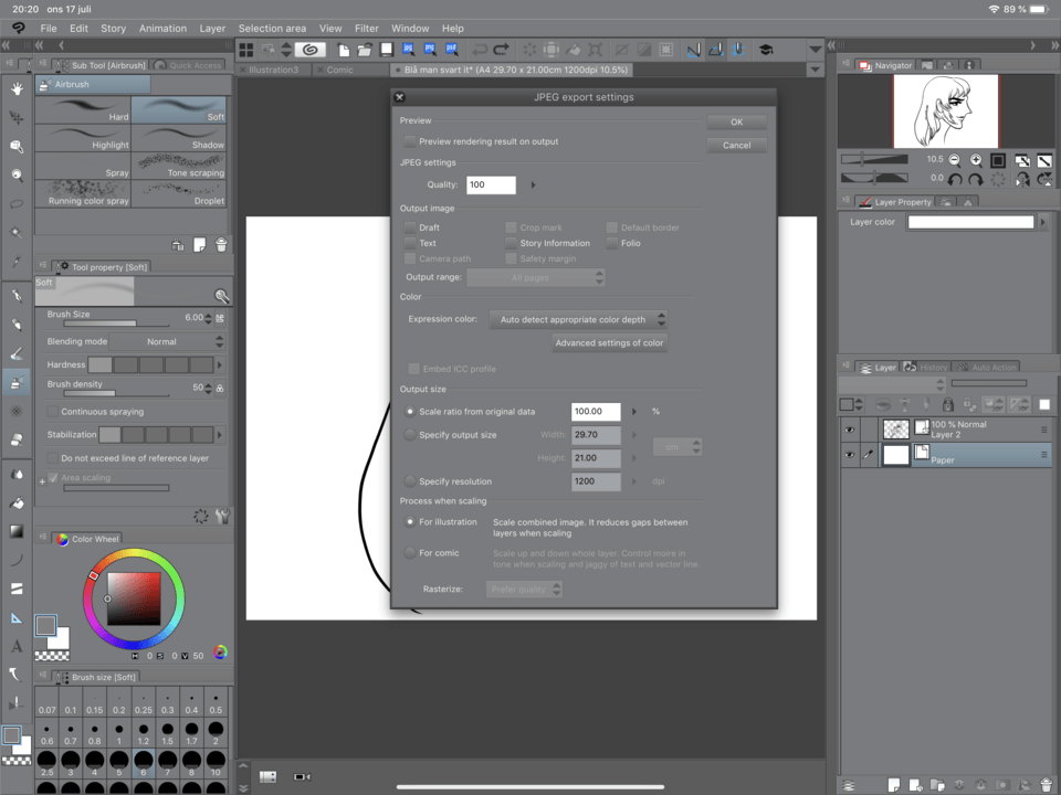 jpg 또는 png로 일러스트를 내보내는 중 문제가 발생했습니다. CLIP STUDIO ASK