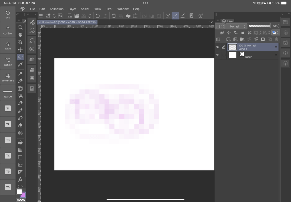 Clip Studio Paint(iPad)는 아무것도 열려 있지 않은 경우에도 최대 메모리/RAM을 사용합니다. CLIP