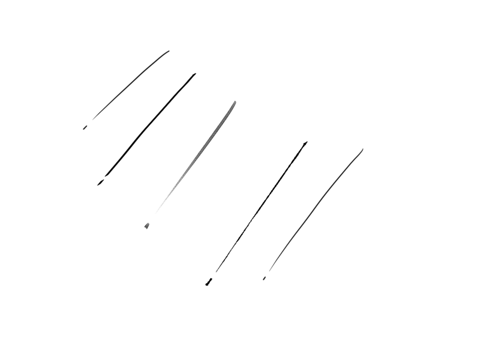 Extracted line flies - CLIP STUDIO ASK